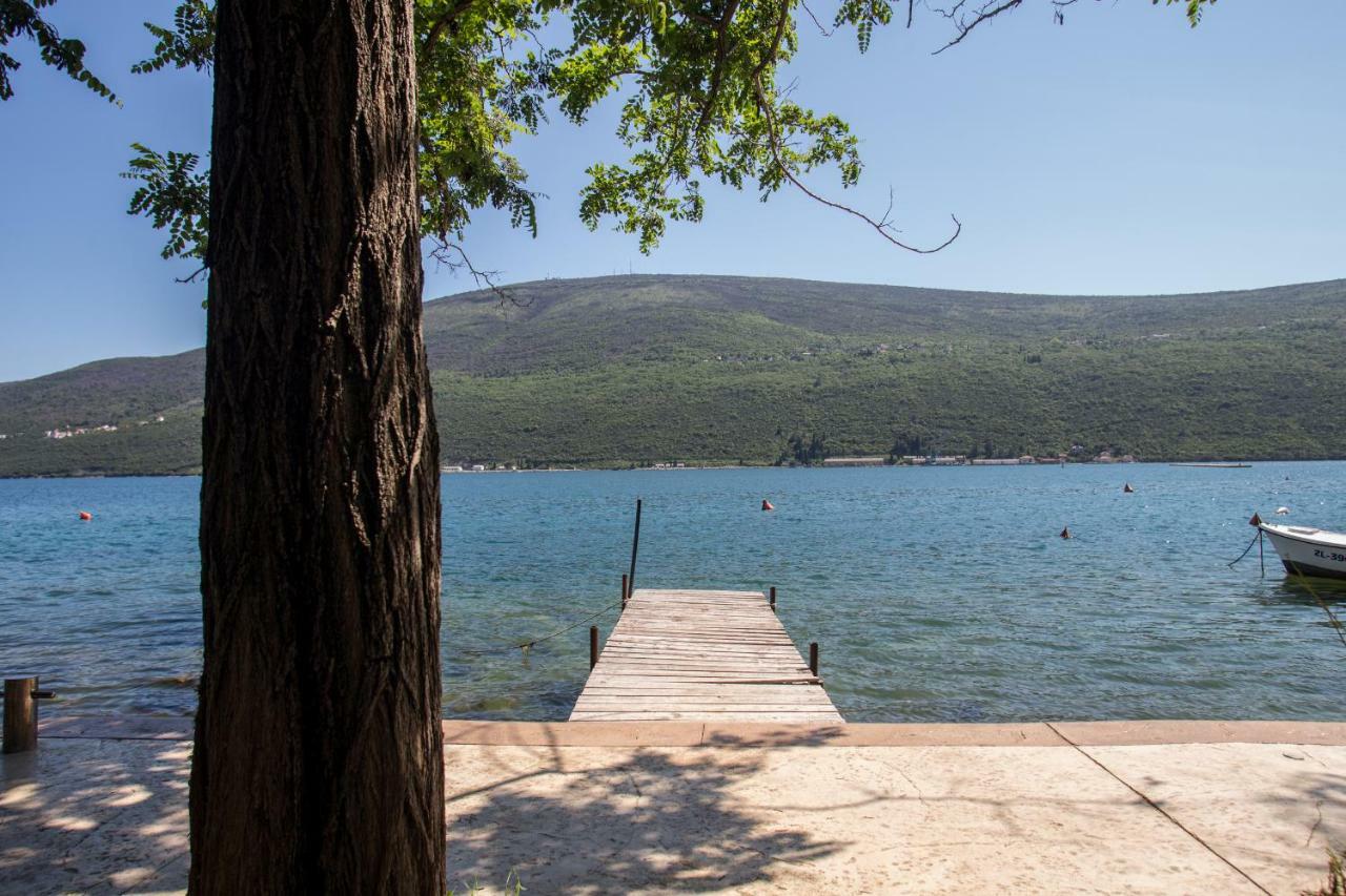 Riva Residence Ðenovići Εξωτερικό φωτογραφία